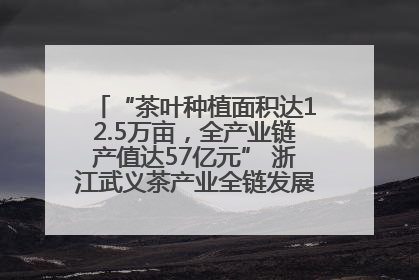 “茶叶种植面积达12.5万亩，全产业链产值达57亿元” 浙江武义茶产业全链发展“加速度”