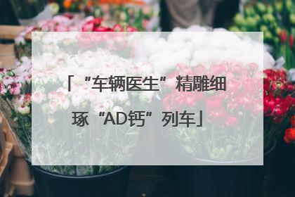 “车辆医生”精雕细琢“AD钙”列车