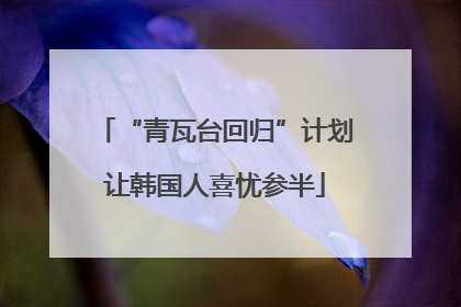 “青瓦台回归”计划让韩国人喜忧参半