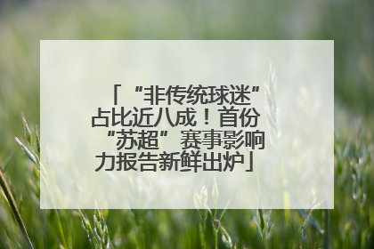 “非传统球迷”占比近八成！首份“苏超”赛事影响力报告新鲜出炉