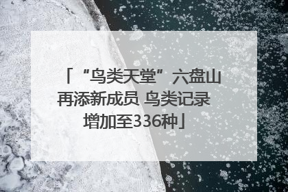 “鸟类天堂”六盘山再添新成员 鸟类记录增加至336种