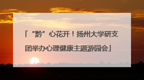 “黔”心花开！扬州大学研支团举办心理健康主题游园会