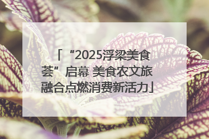 “2025浮梁美食荟”启幕 美食农文旅融合点燃消费新活力