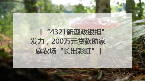 “4321新型政银担”发力，200万元贷款助家庭农场“长出彩虹”