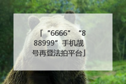 “6666”“888999”手机靓号再登法拍平台