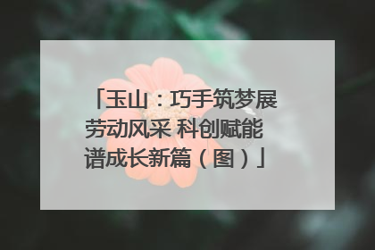 玉山：巧手筑梦展劳动风采 科创赋能谱成长新篇（图）