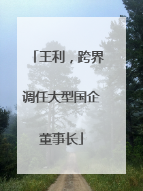 王利，跨界调任大型国企董事长