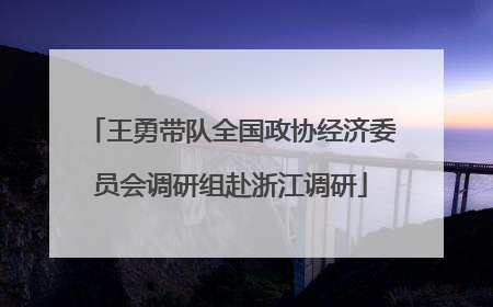 王勇带队全国政协经济委员会调研组赴浙江调研