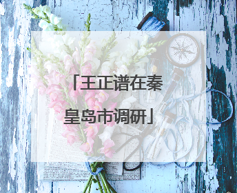 王正谱在秦皇岛市调研