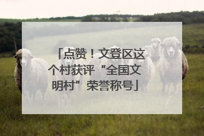 点赞！文登区这个村获评“全国文明村”荣誉称号