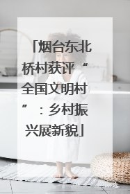 烟台东北桥村获评“全国文明村”：乡村振兴展新貌