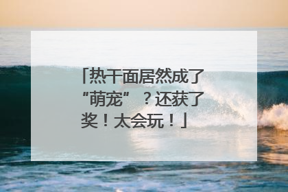 热干面居然成了“萌宠”？还获了奖！太会玩！