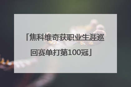 焦科维奇获职业生涯巡回赛单打第100冠