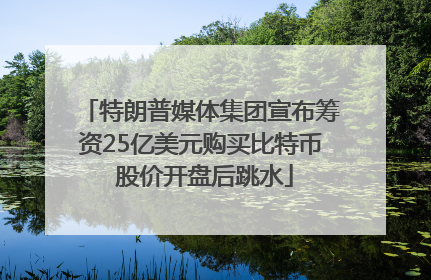 特朗普媒体集团宣布筹资25亿美元购买比特币 股价开盘后跳水
