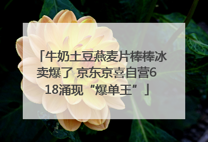 牛奶土豆燕麦片棒棒冰卖爆了 京东京喜自营618涌现“爆单王”