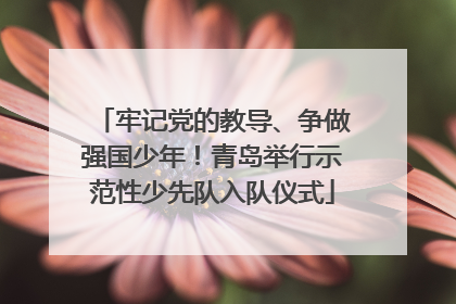 牢记党的教导、争做强国少年！青岛举行示范性少先队入队仪式
