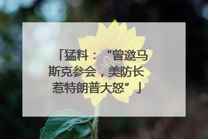 猛料：“曾邀马斯克参会，美防长惹特朗普大怒”