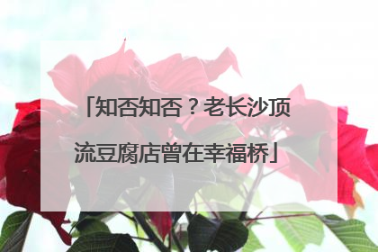 知否知否？老长沙顶流豆腐店曾在幸福桥