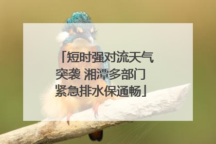 短时强对流天气突袭 湘潭多部门紧急排水保通畅