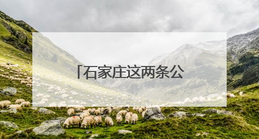 石家庄这两条公交专线带你在家门口游山玩水