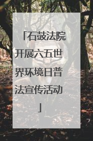 石鼓法院开展六五世界环境日普法宣传活动