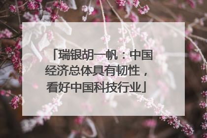 瑞银胡一帆：中国经济总体具有韧性，看好中国科技行业