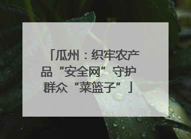 瓜州：织牢农产品“安全网”守护群众“菜篮子”