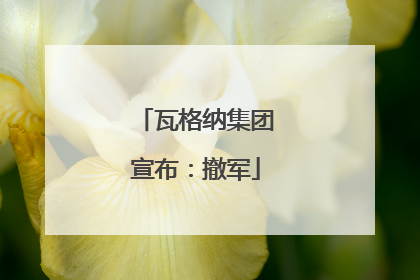 瓦格纳集团宣布：撤军