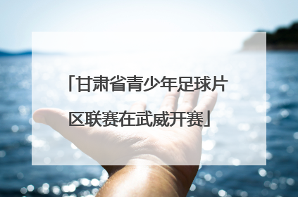 甘肃省青少年足球片区联赛在武威开赛