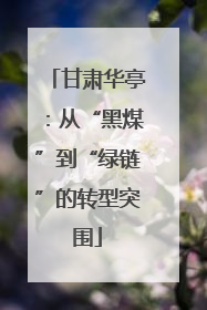 甘肃华亭：从“黑煤”到“绿链”的转型突围