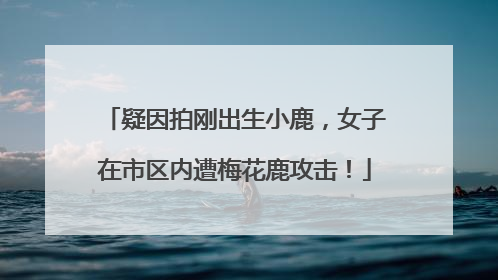 疑因拍刚出生小鹿，女子在市区内遭梅花鹿攻击！