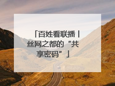 百姓看联播丨丝网之都的“共享密码”