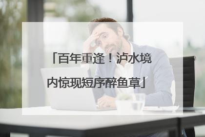百年重逢！泸水境内惊现短序醉鱼草