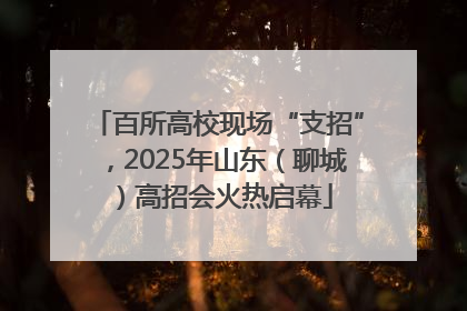 百所高校现场“支招”，2025年山东（聊城）高招会火热启幕