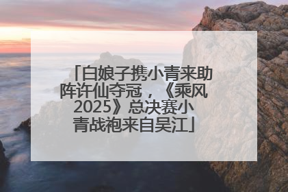 白娘子携小青来助阵许仙夺冠，《乘风2025》总决赛小青战袍来自吴江