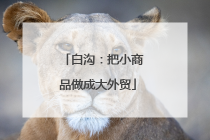 白沟：把小商品做成大外贸