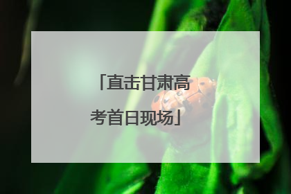 直击甘肃高考首日现场