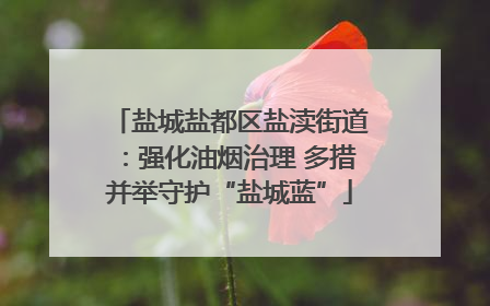 盐城盐都区盐渎街道：强化油烟治理 多措并举守护“盐城蓝”