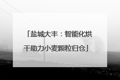 盐城大丰：智能化烘干助力小麦颗粒归仓
