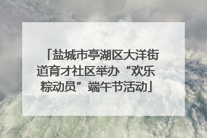 盐城市亭湖区大洋街道育才社区举办“欢乐粽动员”端午节活动
