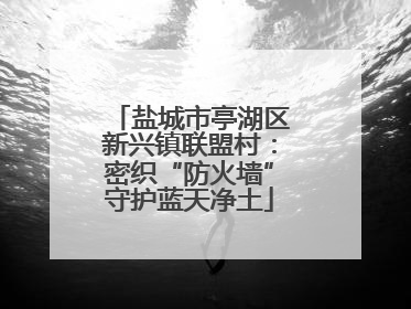 盐城市亭湖区新兴镇联盟村：密织“防火墙”守护蓝天净土