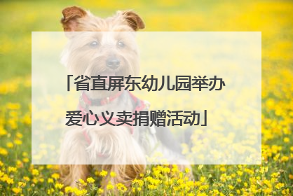 省直屏东幼儿园举办爱心义卖捐赠活动