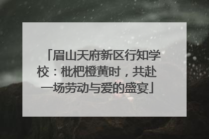 眉山天府新区行知学校：枇杷橙黄时，共赴一场劳动与爱的盛宴