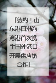 签约！山东港口渤海湾港首次携手国外港口开展供应链合作