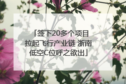 签下20多个项目 拉起飞行产业链 浙南低空C位呼之欲出