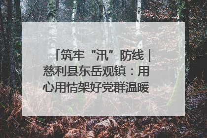 筑牢“汛”防线｜慈利县东岳观镇：用心用情架好党群温暖悠长的“连心桥”