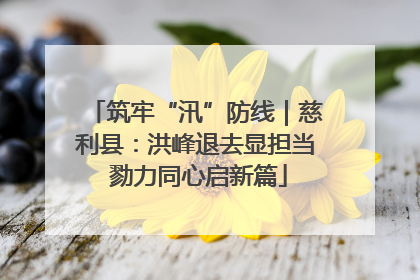 筑牢“汛”防线｜慈利县：洪峰退去显担当 勠力同心启新篇