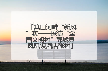 箕山河畔“新风”吹——探访“全国文明村”鄄城县凤凰镇酒店张村