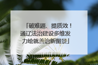 破难题、提质效！通辽法治建设多维发力绘就善治新图景