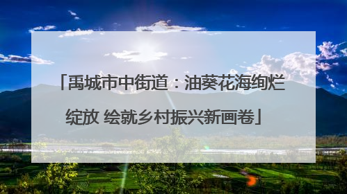 禹城市中街道：油葵花海绚烂绽放 绘就乡村振兴新画卷